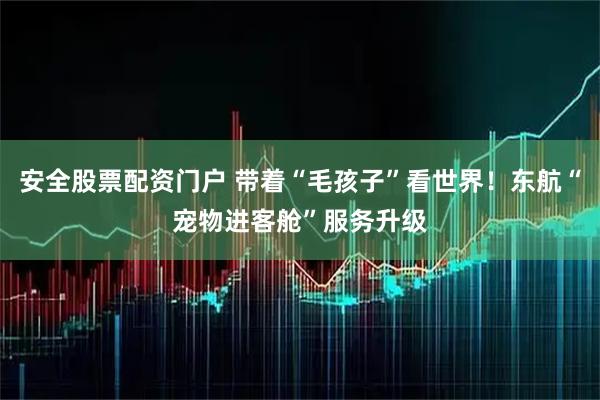 安全股票配资门户 带着“毛孩子”看世界！东航“宠物进客舱”服务升级