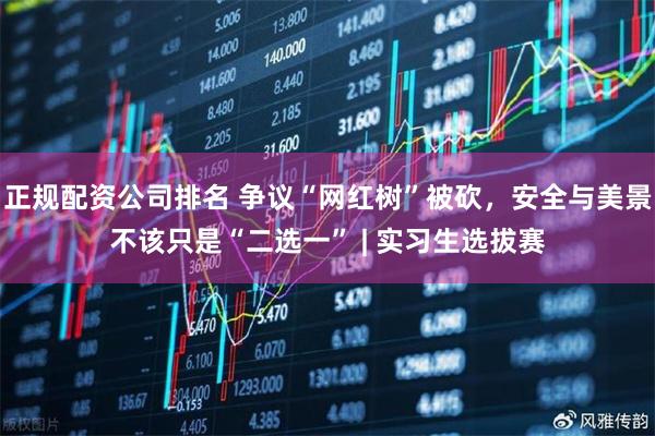 正规配资公司排名 争议“网红树”被砍，安全与美景不该只是“二选一” | 实习生选拔赛